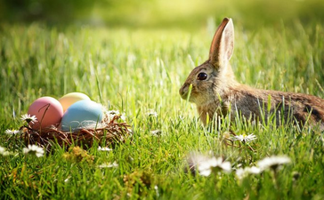 #gemiusAdReal Germany: TOP 5 Easter video creatives