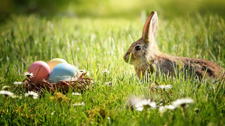 #gemiusAdReal Germany: TOP 5 Easter video creatives
